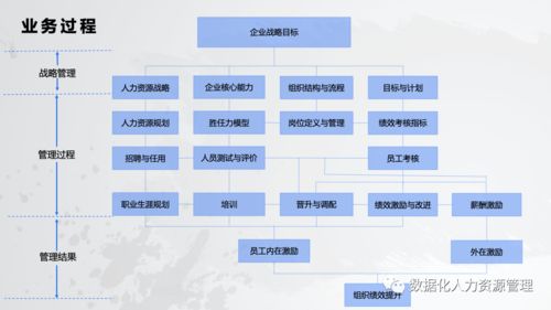 數(shù)據(jù)產(chǎn)品在人力資源管理的實(shí)踐與思考 一、在線數(shù)據(jù)處理與交易處理業(yè)務(wù)
